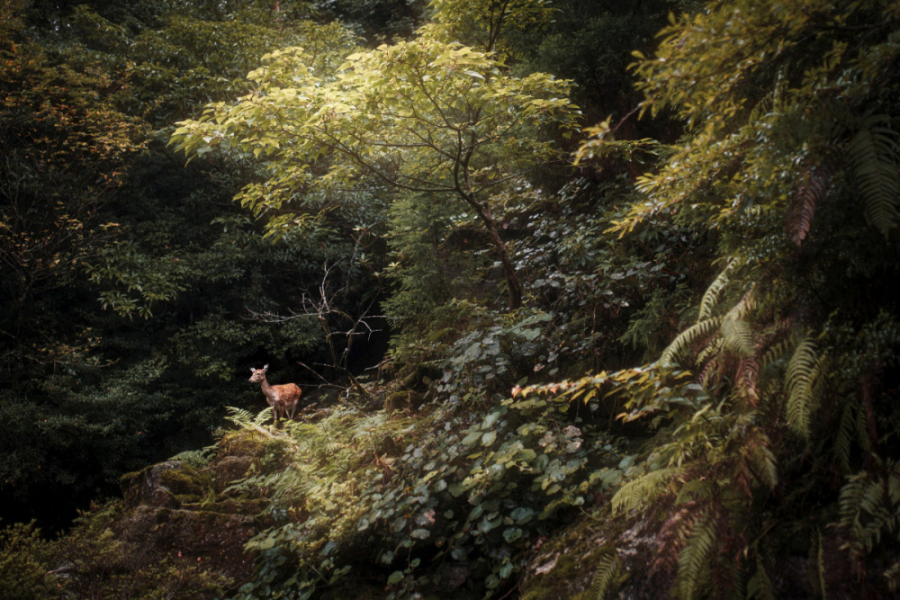 Japan Tokyo Robin Franzmann 25