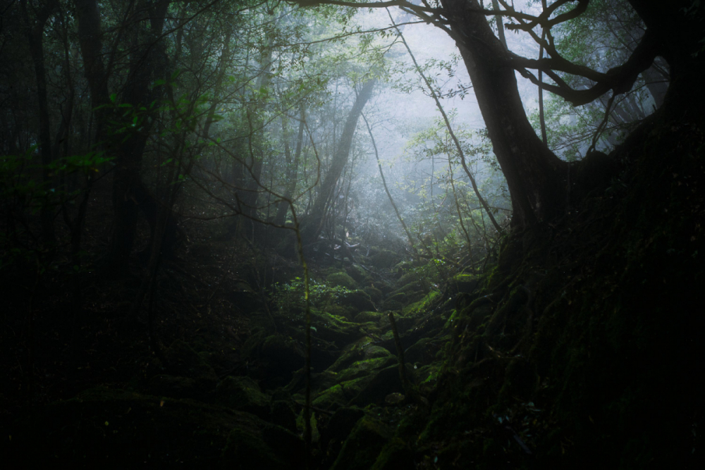 Japan Tokyo Robin Franzmann 26