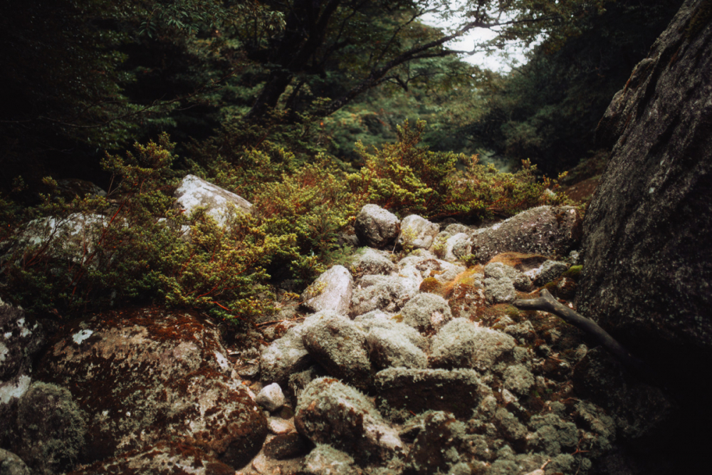 Japan Tokyo Robin Franzmann 27