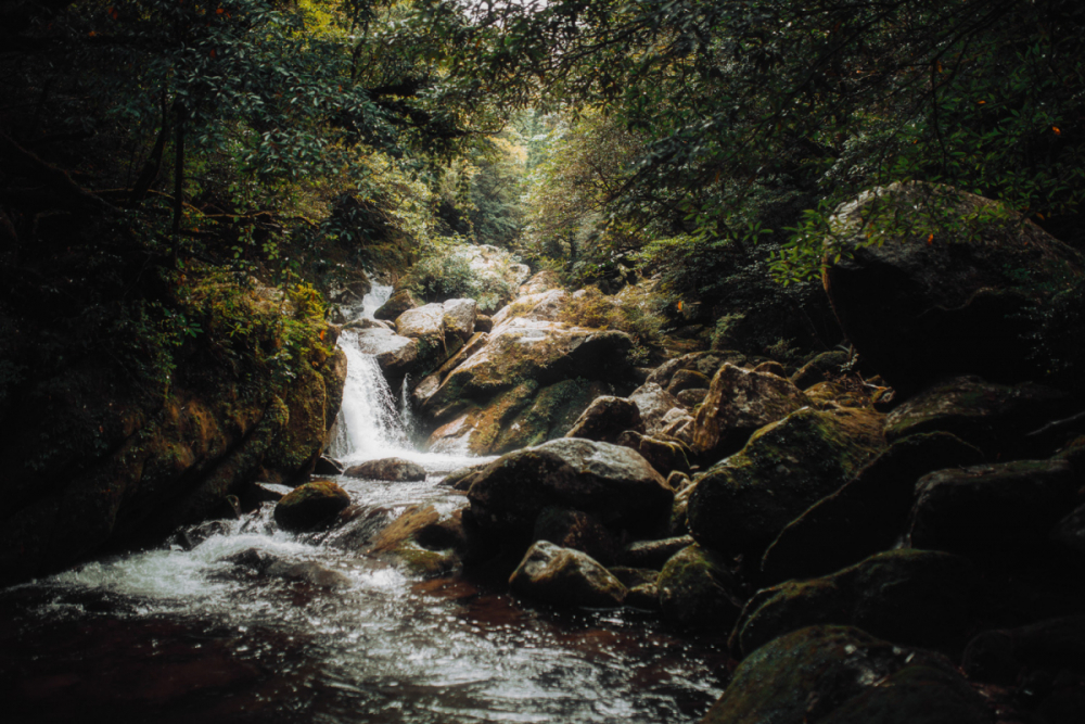 Japan Tokyo Robin Franzmann 28