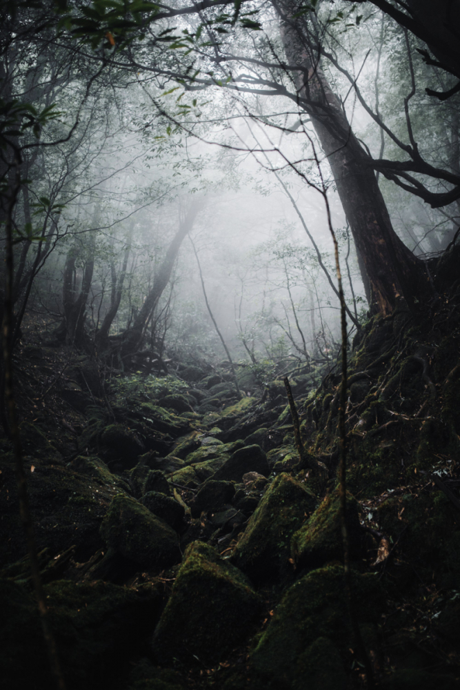 Japan Tokyo Robin Franzmann 31