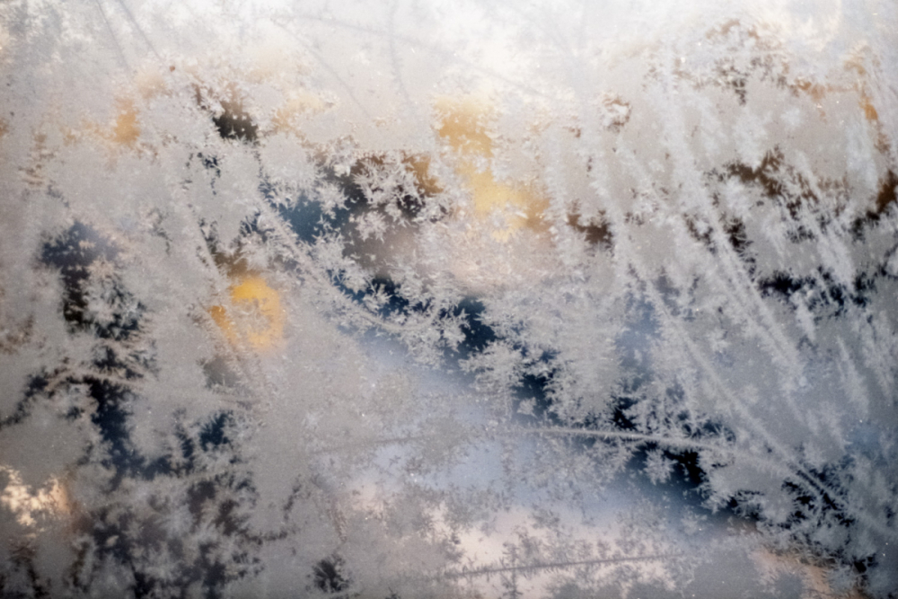 Olympus OM1 kodak gold 533-Edit