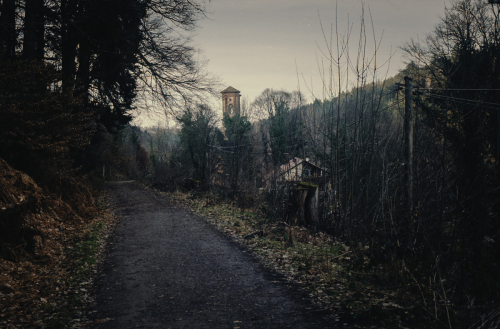 Olympus OM1 kodak gold 556-Edit