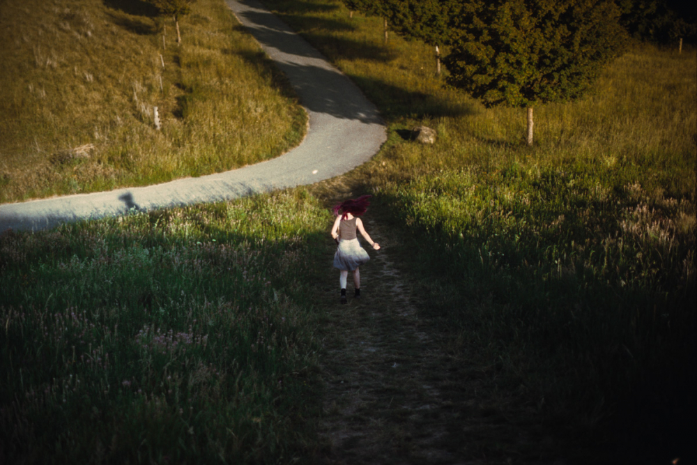 Olympus OM DM 200 11