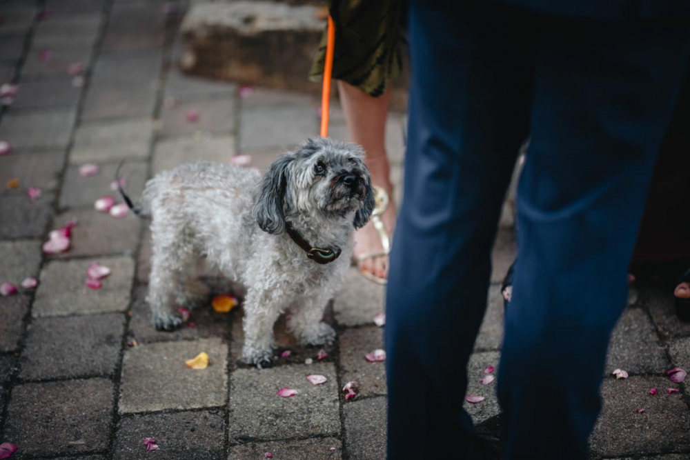 Sina Dirk 14.07.2023-0031