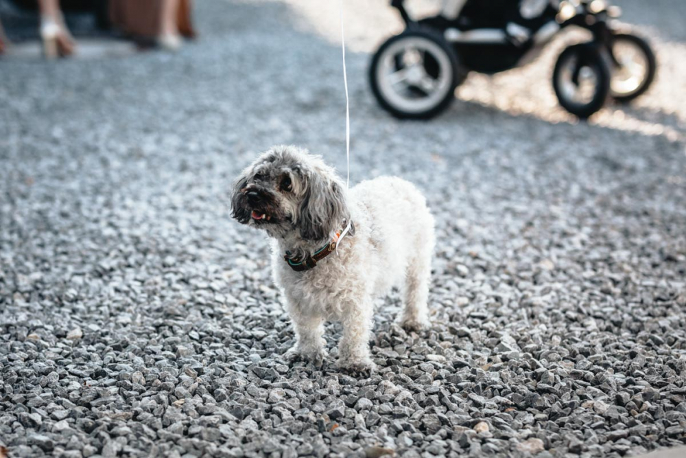 Sina Dirk 14.07.2023-0048