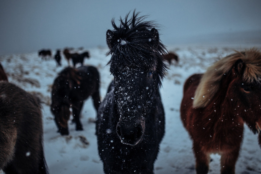 Travel Fotograf Robin Franzmann 010