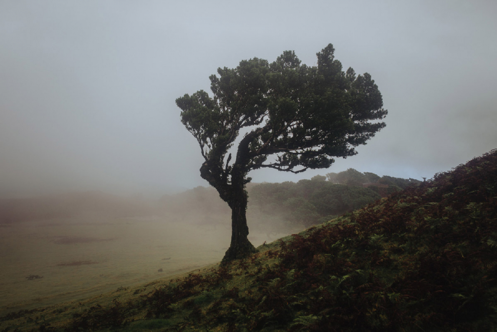 Travel Fotograf Robin Franzmann 014