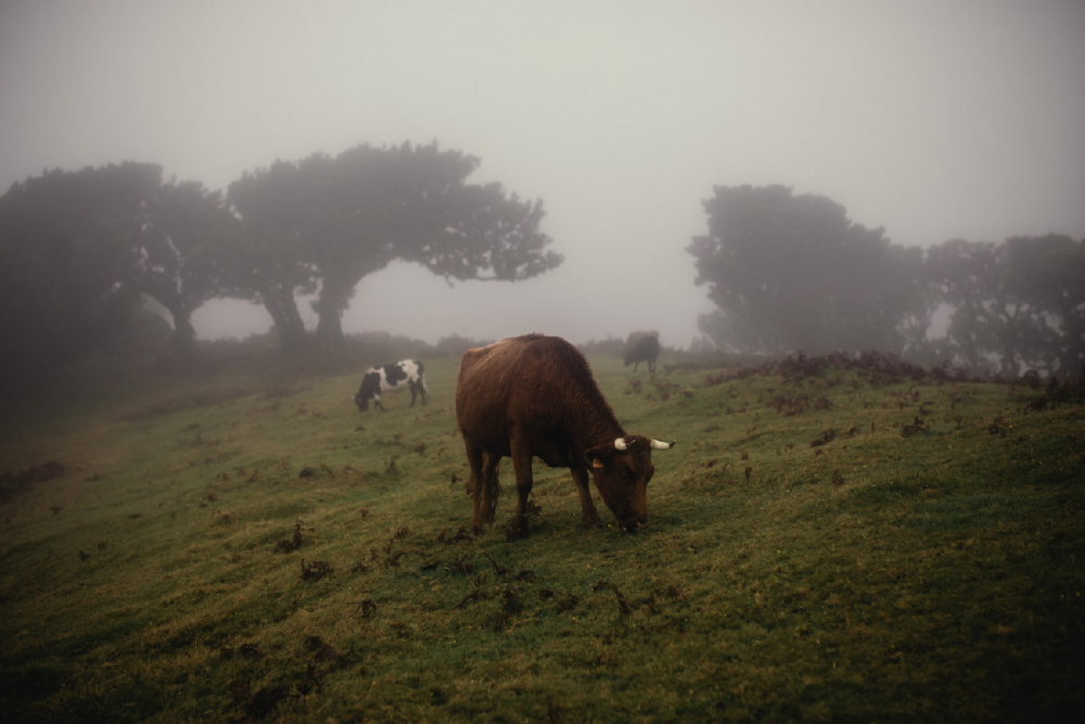 Travel Fotograf Robin Franzmann 015
