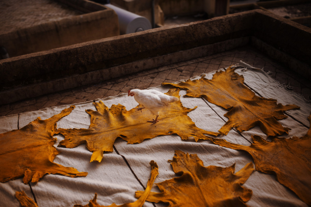 Travel Fotograf Robin Franzmann 030