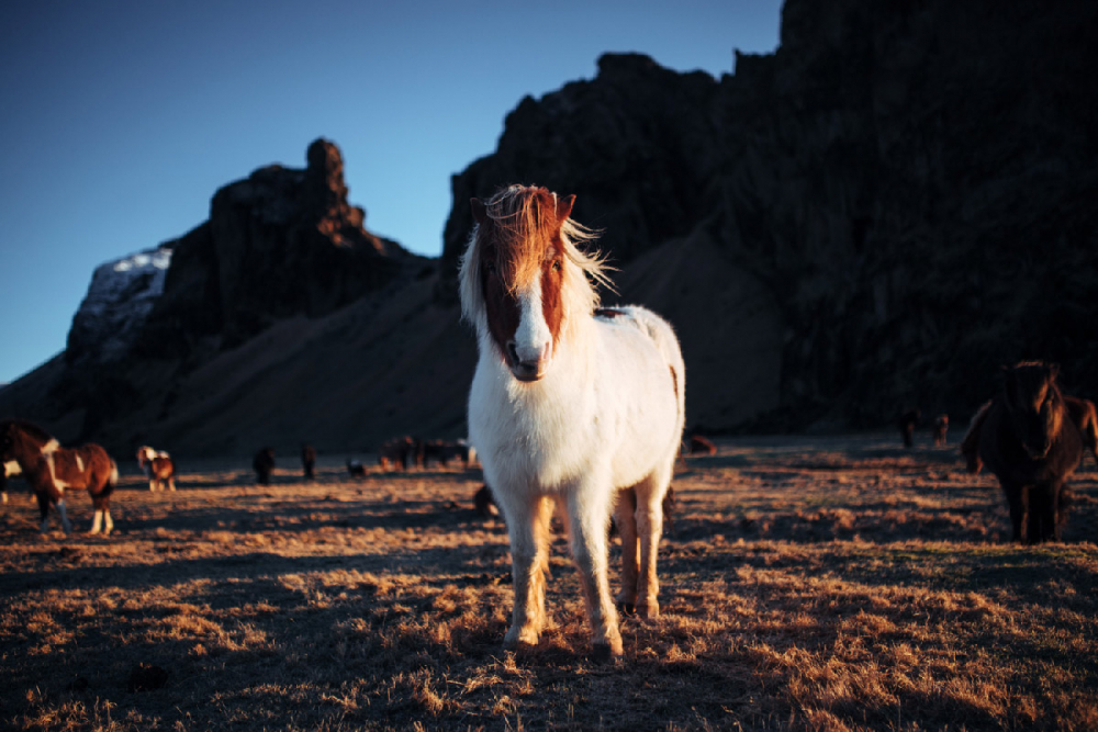 Travel Fotograf Robin Franzmann 069