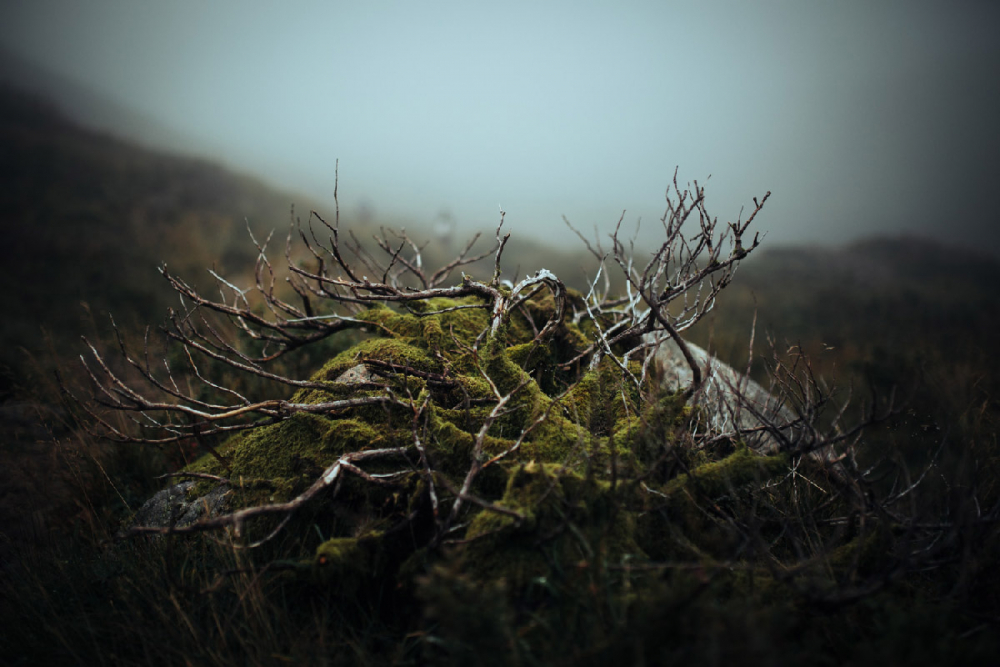 Travel Fotograf Robin Franzmann 071