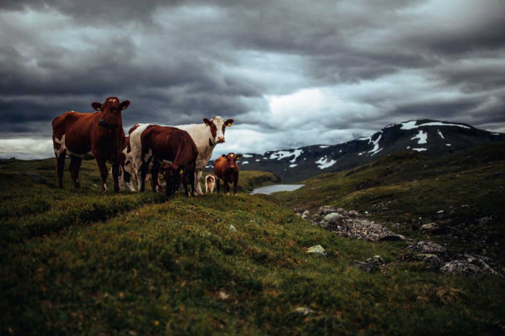Travel Fotograf Robin Franzmann 086