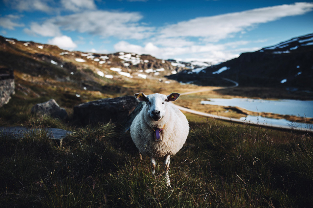 Travel Fotograf Robin Franzmann 092