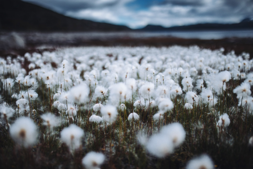 Travel Fotograf Robin Franzmann 094